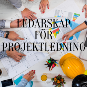 Ledarskap för projektledare